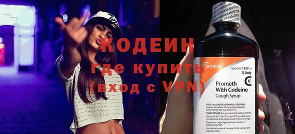 дмт Бородино