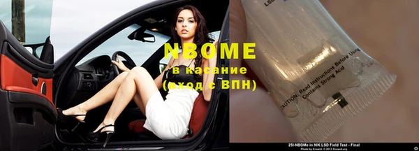 дмт Бородино