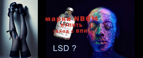 дмт Бородино