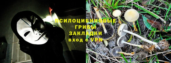 индика Верхнеуральск