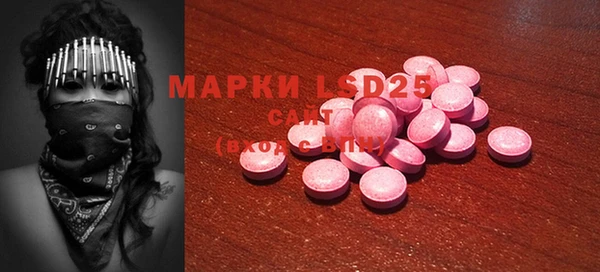 дмт Бородино
