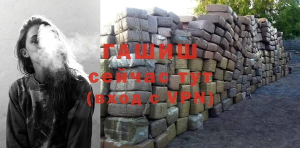 дмт Бородино