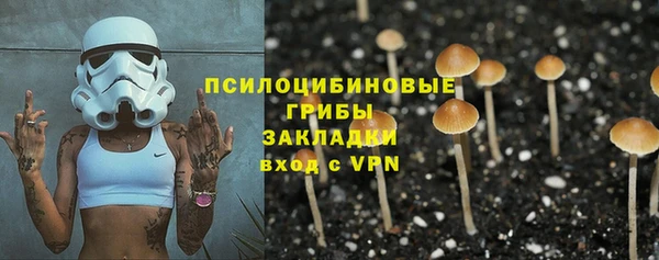 дмт Бородино